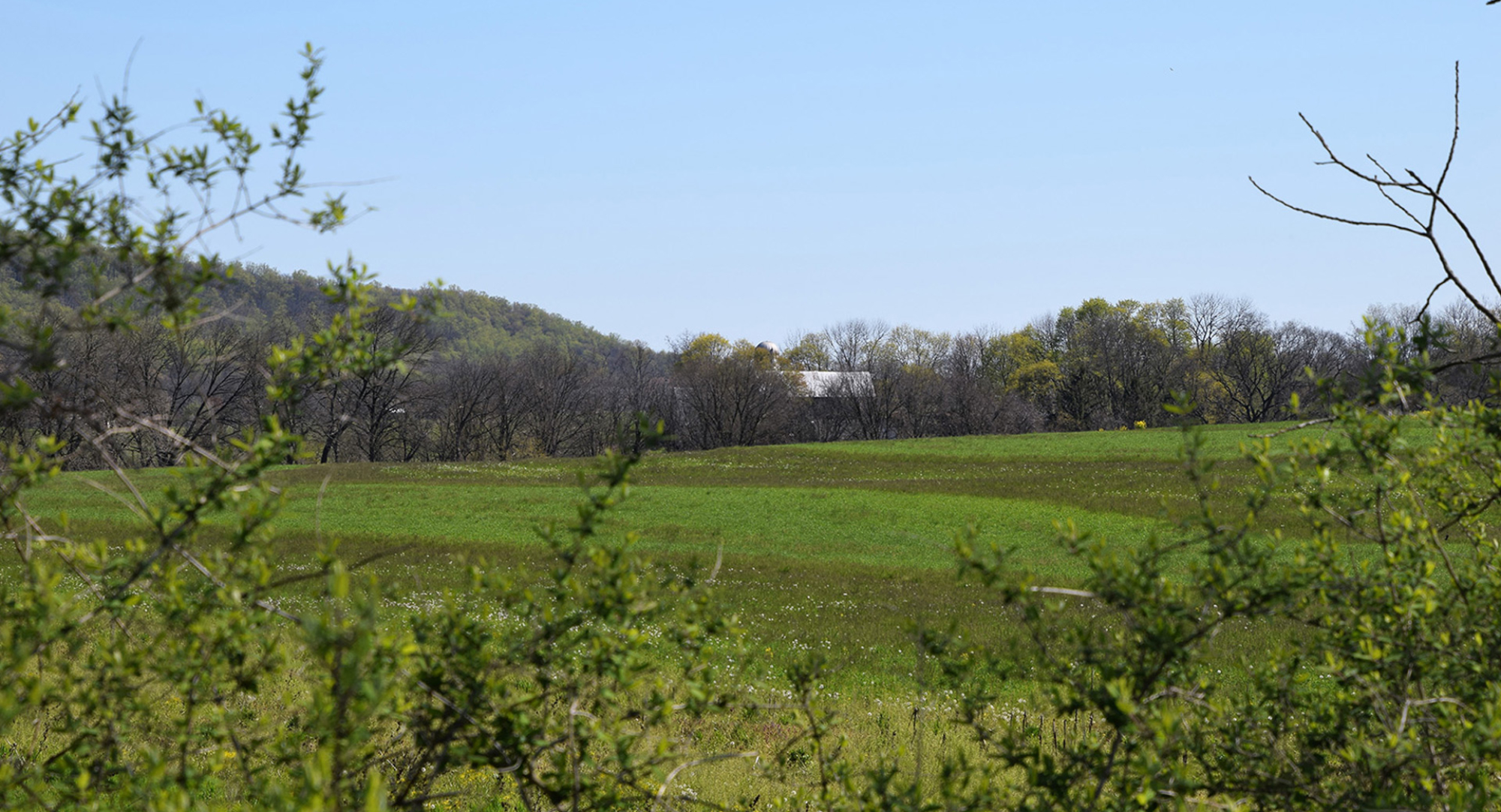 farm-2