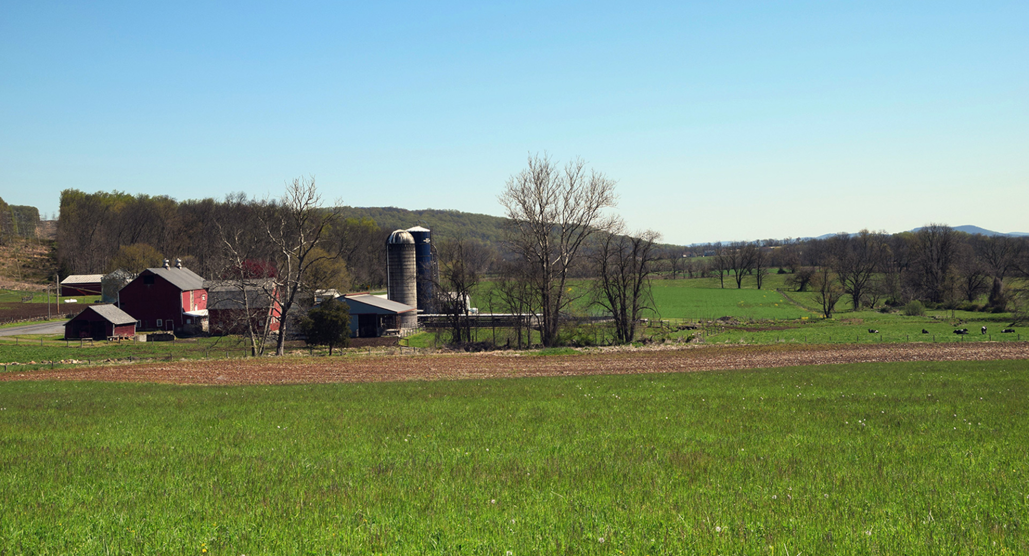 farm-4